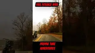 FALL FOLIAGE #55: Downhill Colors in Steuben County, NY. A metaphor for Our Lives!