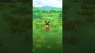 Feuer Pokemon