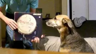 Mark Prindle's Video Review #39: Contortions - Buy