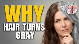 Why Does Hair Turn Gray? The Science of Gray Hair & Aging