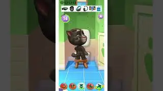 Tom | Talking Tom | Ding Dong Tom|#shorts |@dingdongtom3096