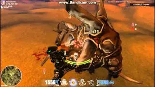 Brontodon rodeo comp