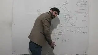 جهاز التكاثر الانثوي 1