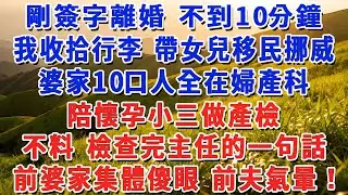 剛簽字離婚 不到10分鐘，我收拾行李 帶女兒移民挪威，婆家10口人全在婦產科，陪懷孕小三做產檢，不料 檢查完主任的一句話，前婆家集體傻眼 前夫氣暈！#小娟講故事 #情感故事 #老年生活