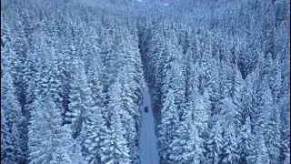 Snow Forest - Drone | No Copyright | Royalty Free | Creative Commons | Reuse allowed.