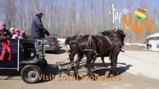 Tap Into Maple and Celebrate Canada's 150th Birthday