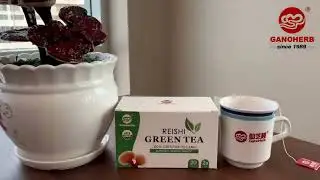 Reishi Green Tea de Ganoherb, inicia el 2025  #ganodermalucidum #salud #teverde #bienestar #reishi