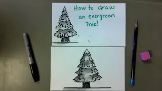 🌲 How to Draw an Evergreen Tree with Realistic Shading & Texture! 🌲