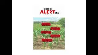 BirdAlert   the way to protect your crops