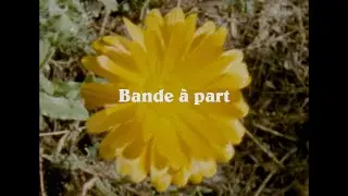Bande à part