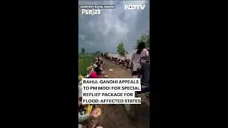 Rahul Gandhi Appeals To PM Modi For Special Relief Package For Flood-Affected States
