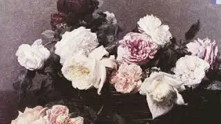 Sample Pack | Classic &ndash; Guitar Samples | Online Forever Vol. 7 | Pink Sweat$ X Jacquees