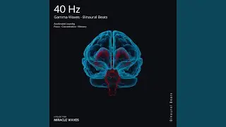 40 Hz Gamma Waves for Focus - Binaural Beats