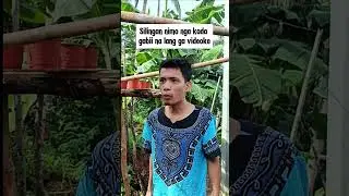 Tagam lage!