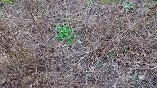 Wolcott Project Presents: Nature 404