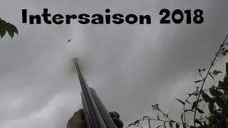 Intersaison Ball trap & Corbeau 2018 HD