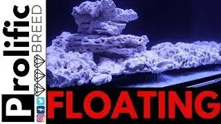 HOW TO FLOAT REEF TANK AQUASCAPING ROCKS FOR RED SEA REEFER 350