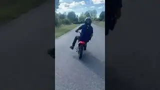 Wheeling 110crf