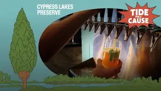 Tide For A Cause &mdash; Cypress Lake Preserve (2021)