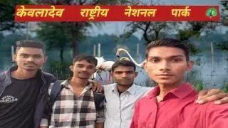 पक्षियों का स्वर्ग 🦚🕊️🦤🦢 केवलादेव राष्ट्रीय उद्यान भरतपुर राजस्थान 🌐💮🍁💎🔱⚜️ amitkheri18 