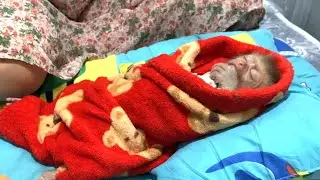 sleepy!! Mom wrapped LIORA in a soft towel and put her to sleep on a mattress with a mosquito net