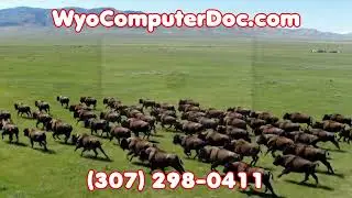 Mobile Computer Doctor - Bison Tech HQ
