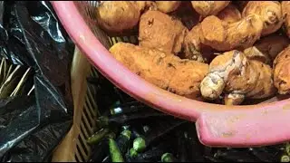 Anokhi easy recipes is live! haldi ke testi laddu garam masala powder