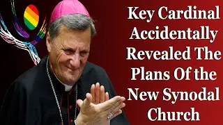 Key Cardinal Accidentally Revealed The Plans Of The New Synodal Church