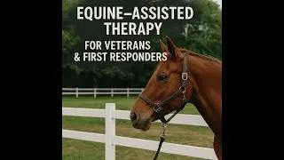 Healing Through Horses: The Warrior Ranch Story