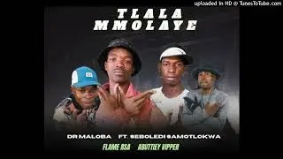 Tlala Mmolaye - Flame Rsa x Abuttiey Vipper x Dr Maloba x Seboledi Samotlokwa