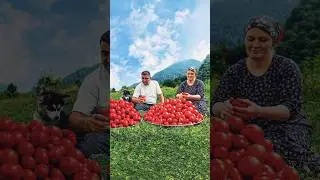 Tomatoes for the winter and beans for the holiday! Homemade Recipe from the Villagers&nbsp;#shorts