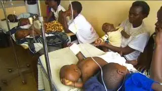 Malaria Detection Dogs