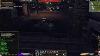Lineage 2 : Та самая ностальгия, как когда то в школе.
