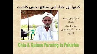 Profitable farming of Chia and Quinoa in Pakistan | Interview of AD Sb | Quinoa aur Chia ki Kasht