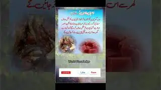 Life-Changing Knowledge Just 5 Mins: URDU Quotes  Islamic