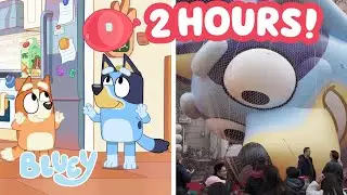 🔴LIVE: Keepy Uppy Time! 🎈 | Get Excited for Macy's with Bluey 💙 | Bluey