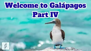 My Trip to Gal&aacute;pagos, Part IV: Punta Pitt
