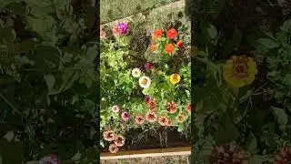 Garden after cold winter night!