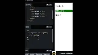 Grouping Multiple CSS Selectors| CSS |  Frontend 