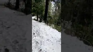 1st snowfall in Murree | ❄️☃️| MURREE WEATHER TODAY | MURREE SNOWFALL 2023