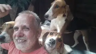 Manutenção do canil do caçador faço com amor 