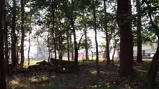 barehipani nature camp, shimilipal #barehipani #shimilipal #ecotourismodisha