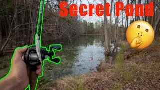 Bass Fishing In A Secret Pond