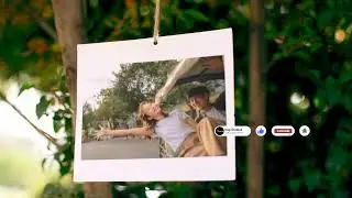 4K Viddyoze Animation Samples Hanging Nature Photos