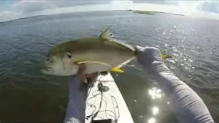 Solo Skiff At Shell Point trip