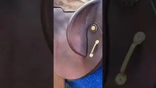 Jessica&rsquo;s Custom Made Fender Saddle