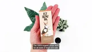 Amazon Review Pet Hemp Oil 