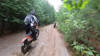 STARA Wolf Lake Mountain DS Ride - the Downhill