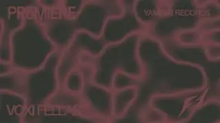 Voxi - Fellas