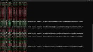 Never Miss a Whale: Instant Token Activity via CryptoDevTools